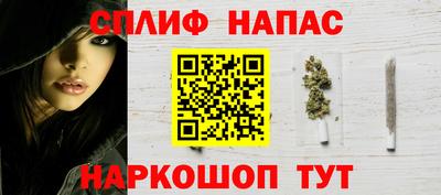 сатива Дубна