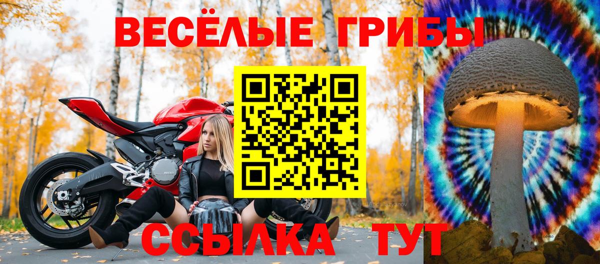 Псилоцибиновые грибы Magic Shrooms Луховицы