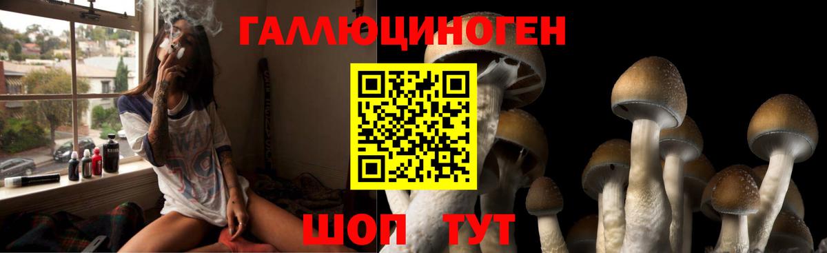 Луховицы  Псилоцибиновые грибы MAGIC MUSHROOMS  Вход с VPN 